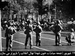 image (7)